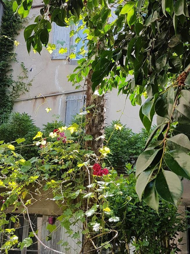 Chambre D'Hote La Passerelle Mazamet Luaran gambar
